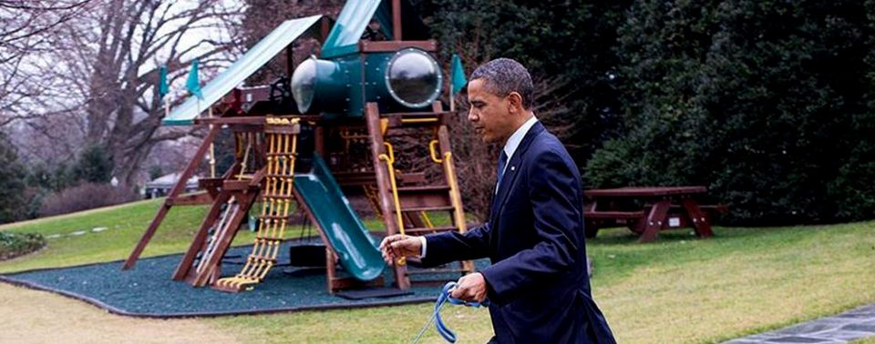 Bo, el perro que fue presidente